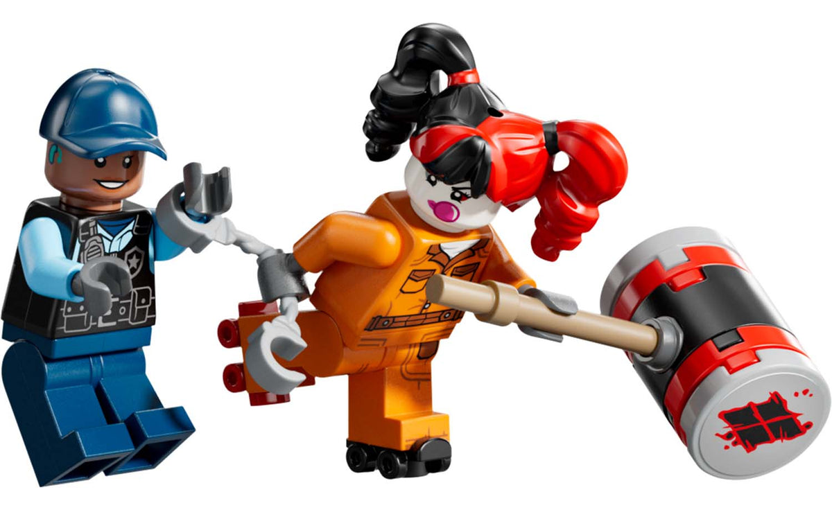 76300 | LEGO® DC Arkham Asylum™